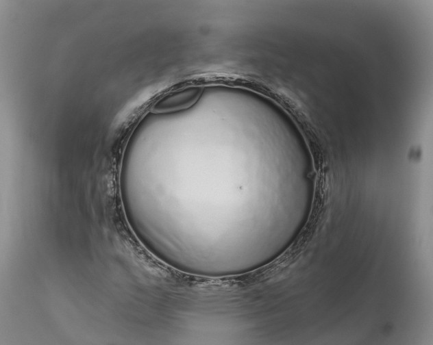 X0000111051159200907091627