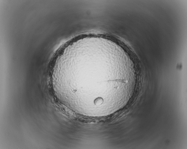 X0000111051160200907091627