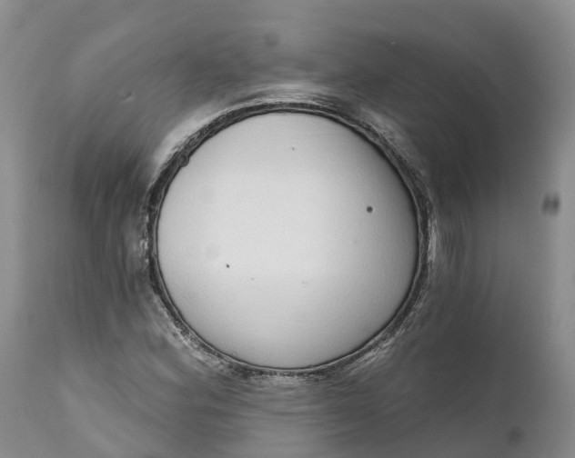 X0000111051164200907091627