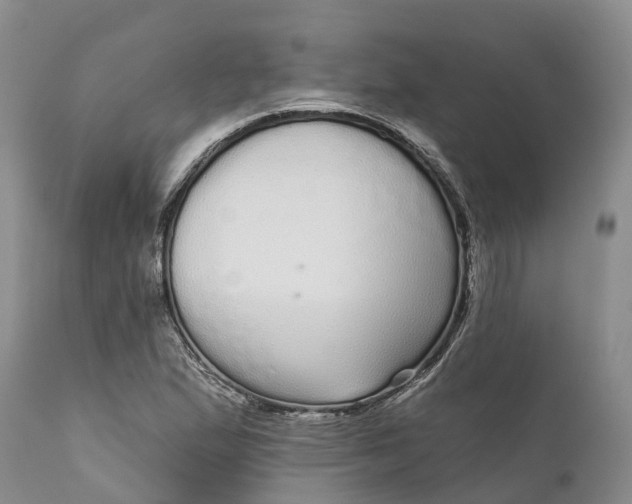 X0000111051167200907091627