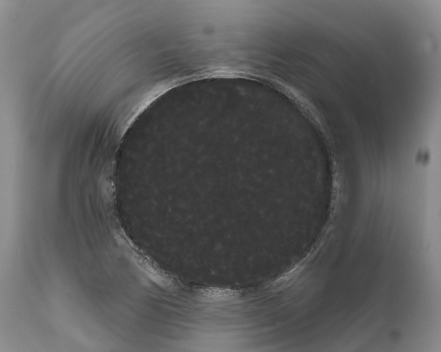 X0000111051170200907091626