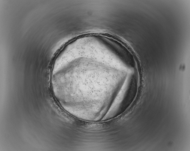 X0000111051171200907091626