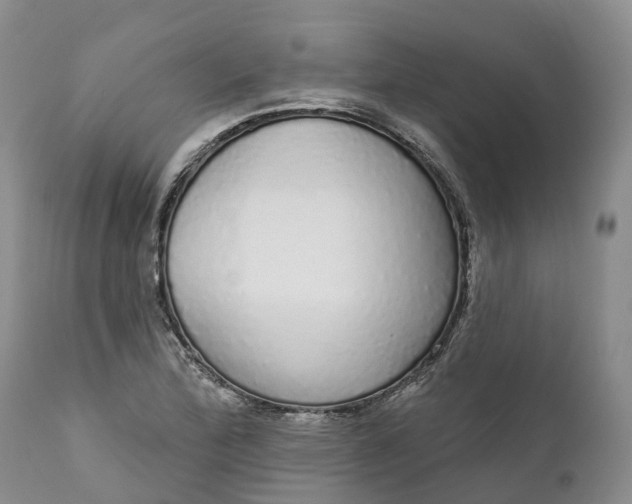 X0000111051172200907091626