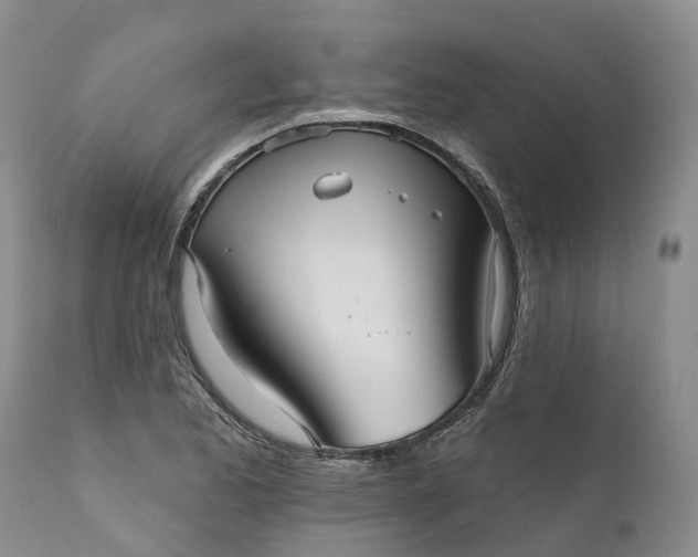 X0000111051173200907091626