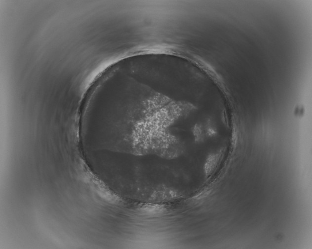 X0000111051174200907091626