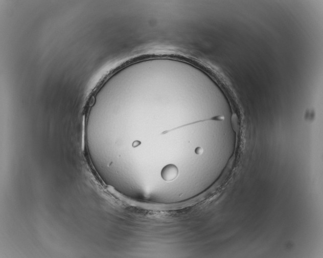 X0000111051175200907091626