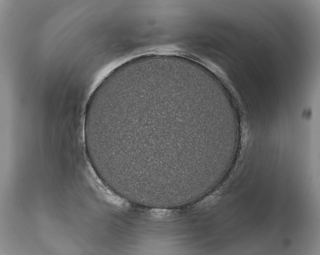 X0000111051176200907091626