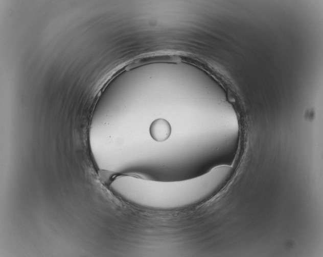 X0000111051177200907091626