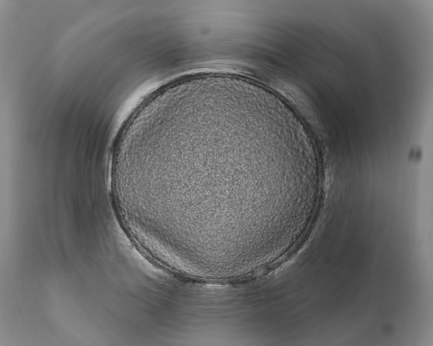 X0000111051180200907091626