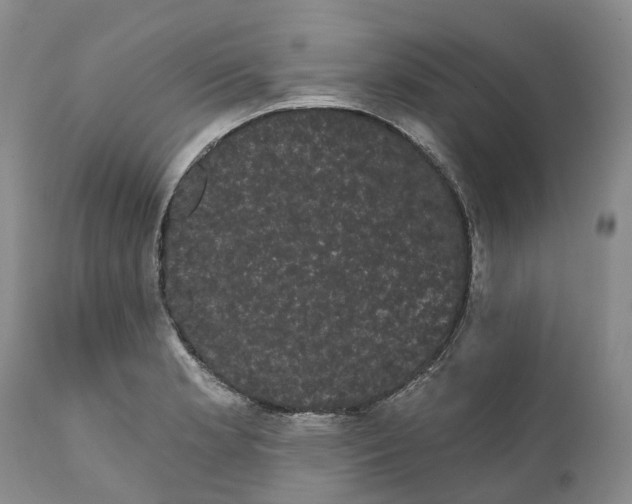 X0000111051181200907091626