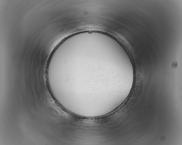 X0000111051182200907091626