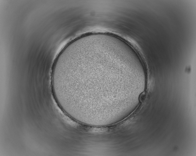 X0000111051183200907091626