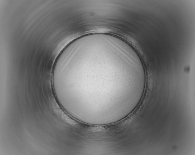 X0000111051186200907091626