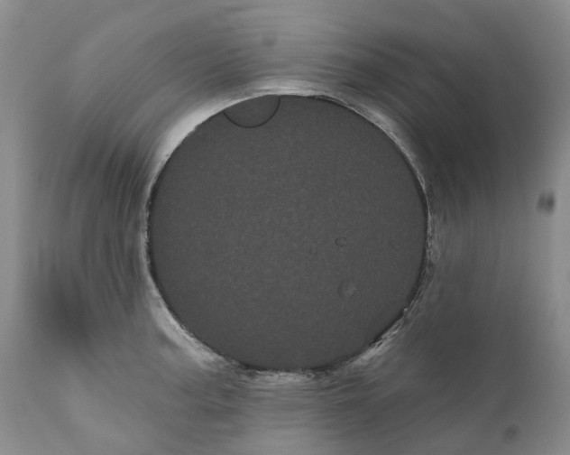 X0000111051187200907091626