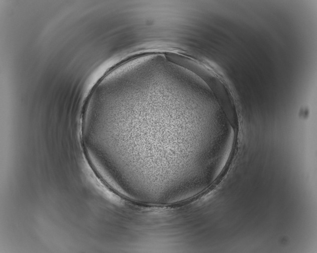 X0000111051188200907091626