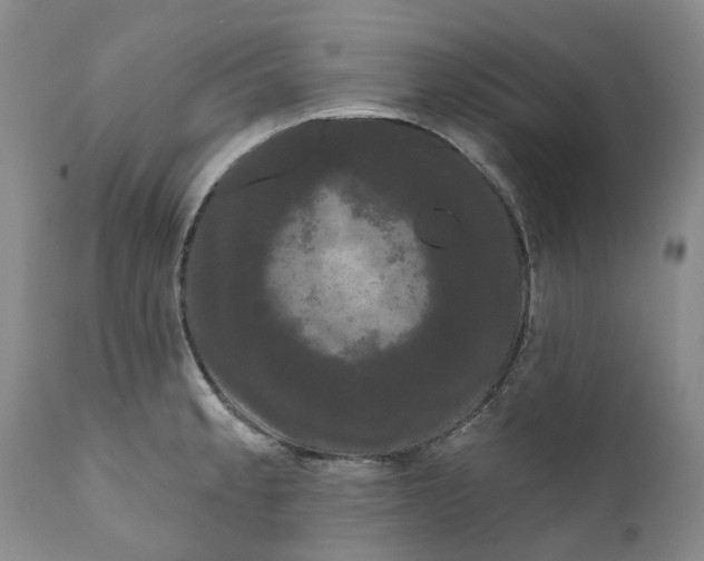 X0000111051189200907091626