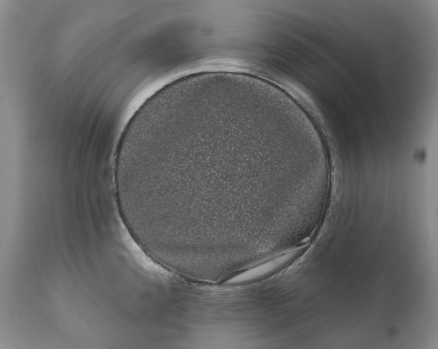 X0000111051192200907091626