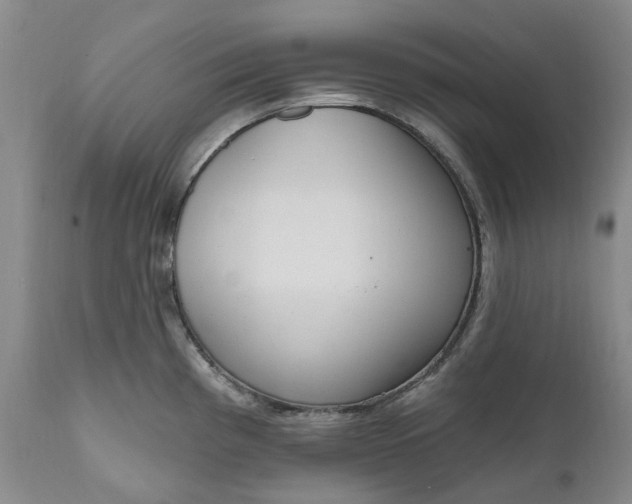 X0000111051193200907091626