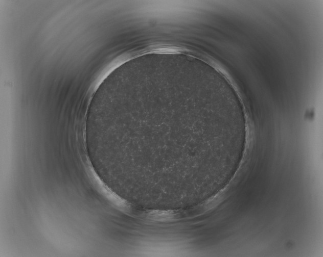 X0000111051194200907091626