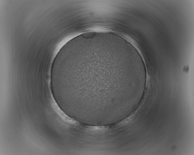 X0000111051195200907091626