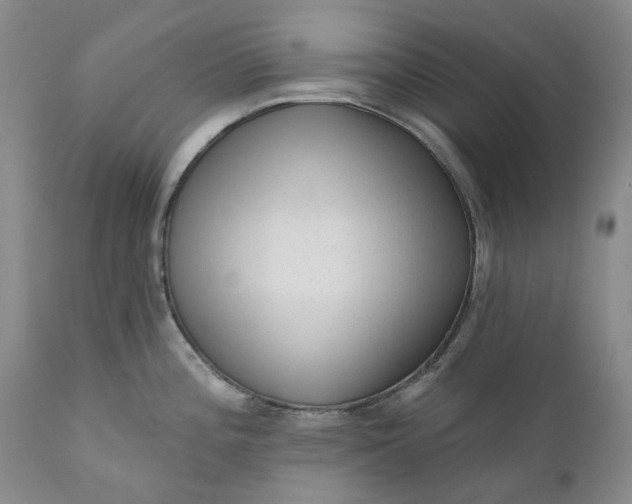 X0000111051196200907091626