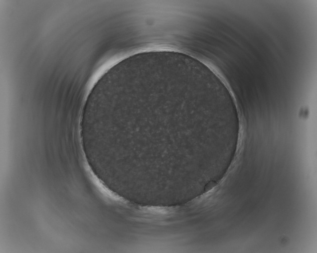 X0000111051197200907091626