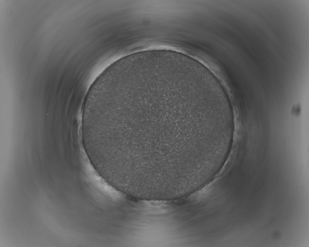 X0000111051198200907091626