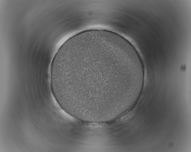 X0000111051199200907091626