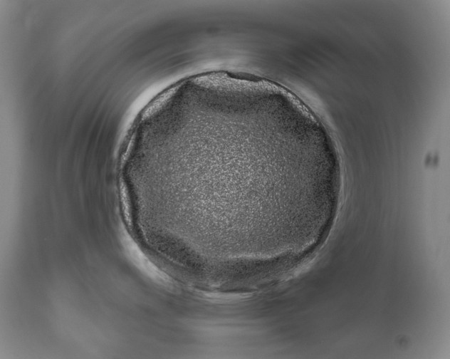 X0000111051200200907091626