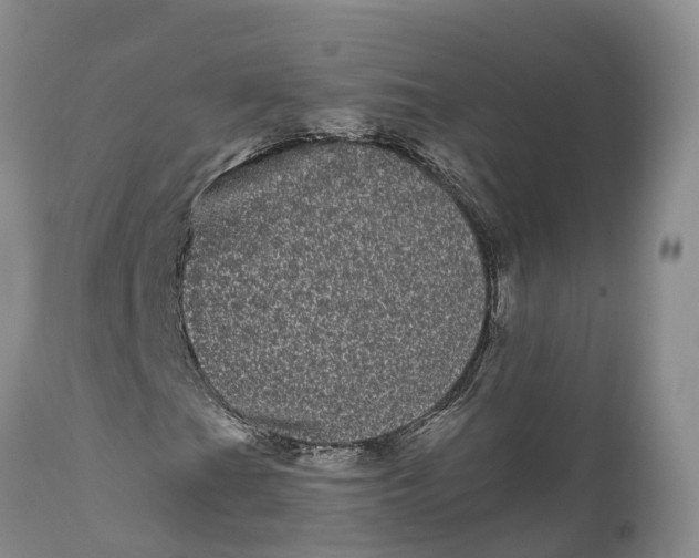 X0000111051201200907091625