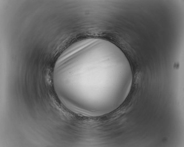 X0000111051202200907091625