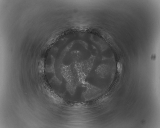 X0000111051203200907091625