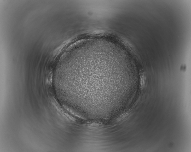 X0000111051204200907091625