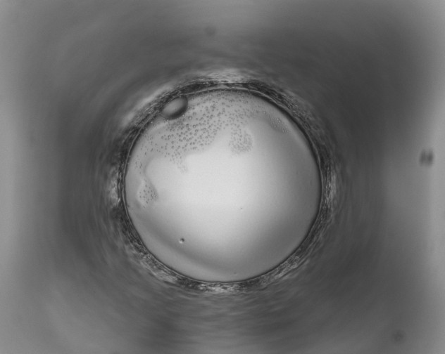 X0000111051205200907091625