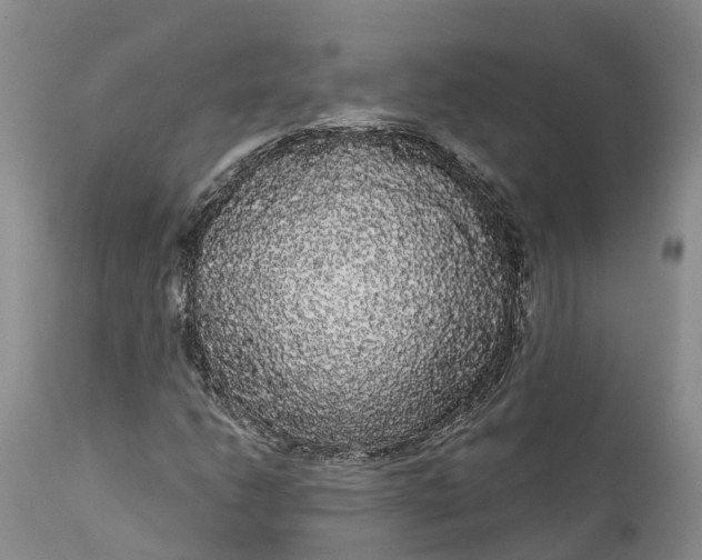 X0000111051206200907091625