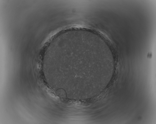 X0000111051207200907091626