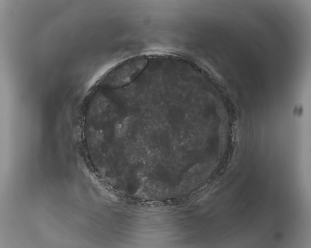 X0000111051208200907091626