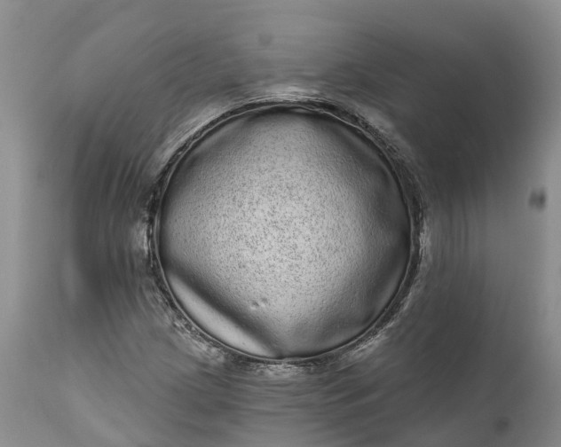 X0000111051209200907091626