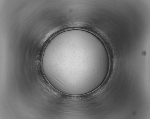 X0000111051210200907091626