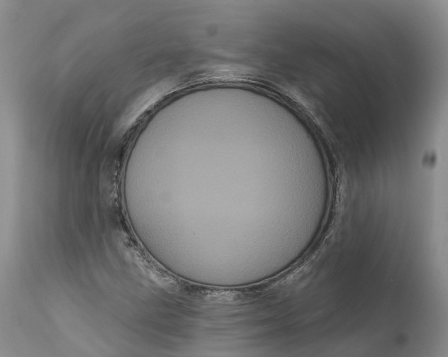 X0000111051211200907091626