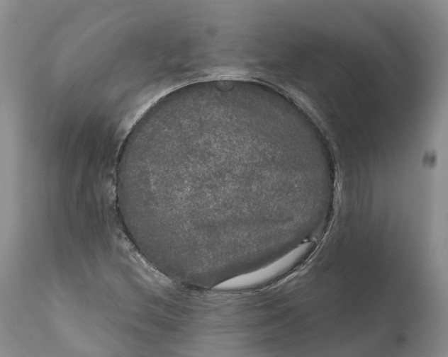 X0000111051212200907091626