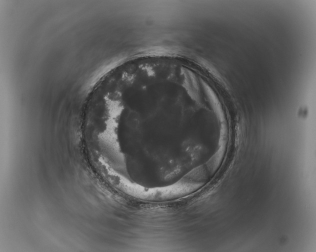 X0000111051213200907091626