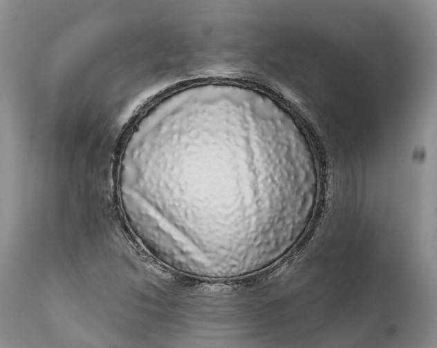 X0000111051214200907091626