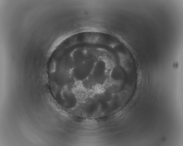 X0000111051215200907091626