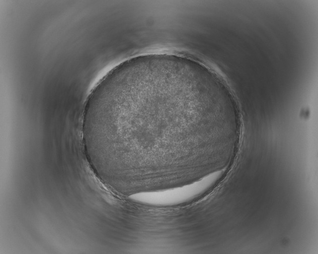 X0000111051216200907091626