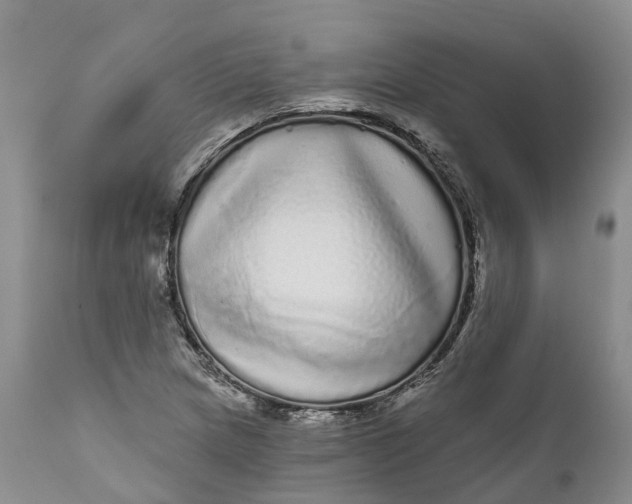 X0000111051217200907091626