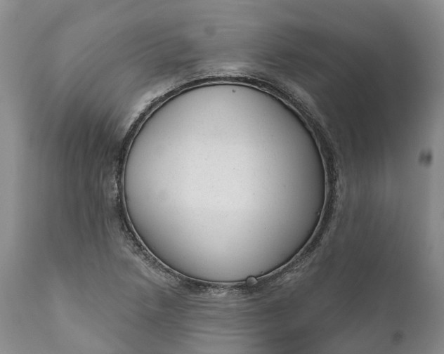 X0000111051218200907091626