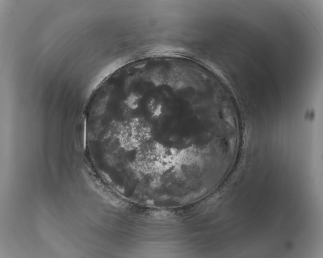 X0000111051219200907091626