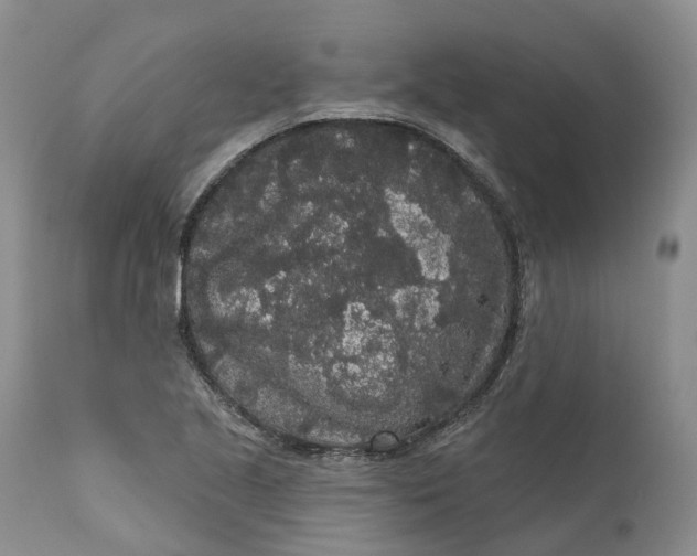 X0000111051221200907091626