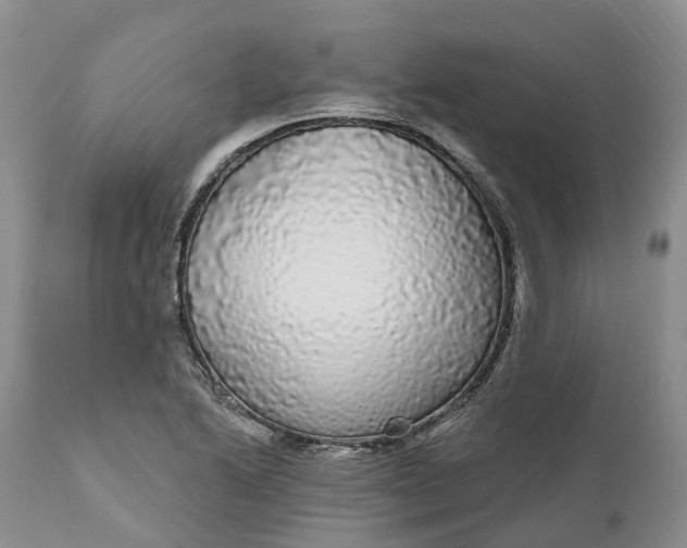 X0000111051222200907091626